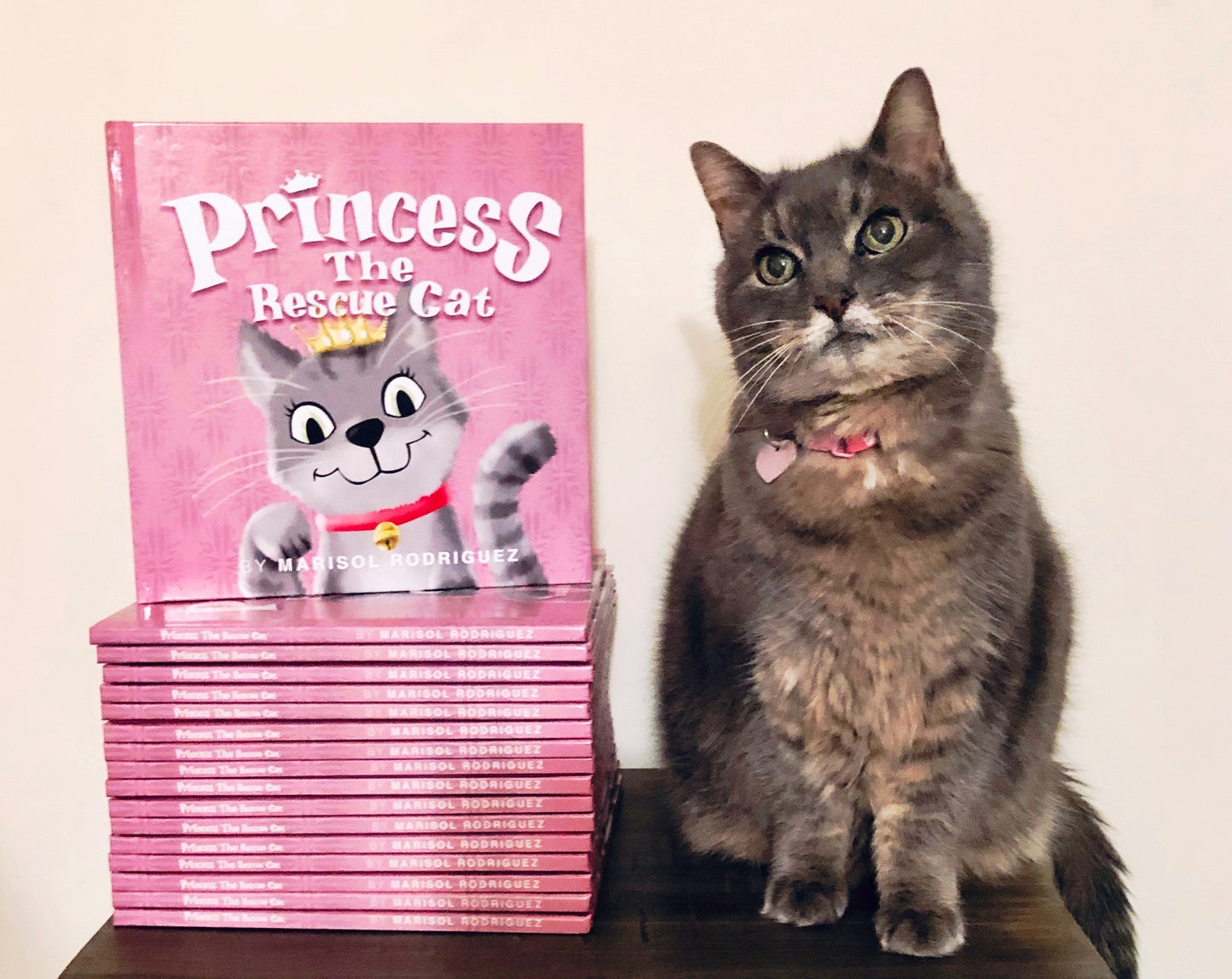 Princess the Rescue Cat, Children's Book - Author Signed Copy